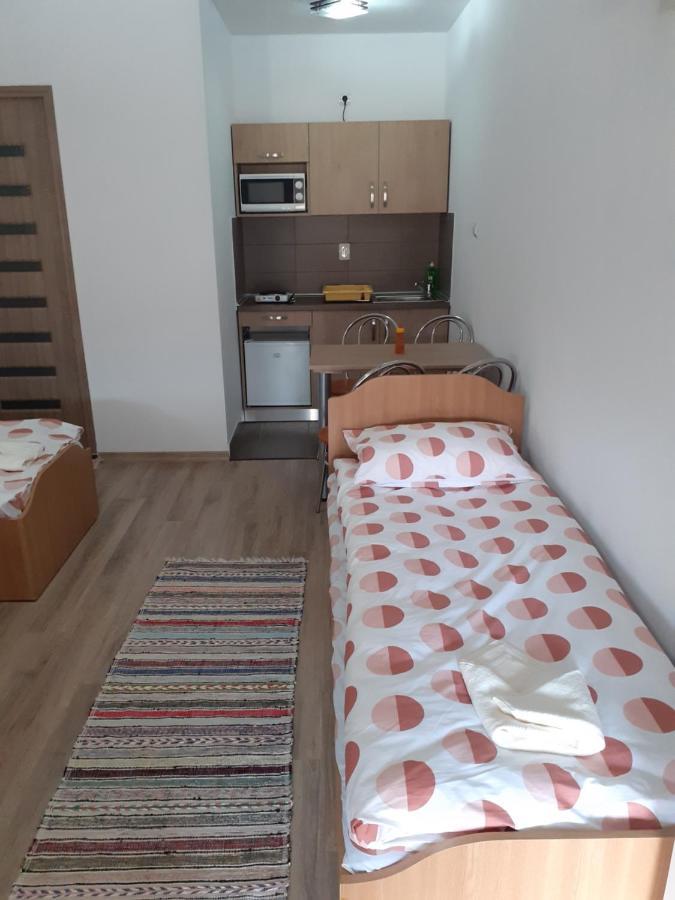 Kacsó Apartma Ocna de Sus Exterior foto